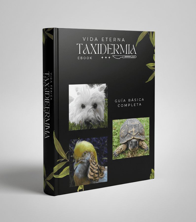 Ebook VidaEterna Taxidermia
